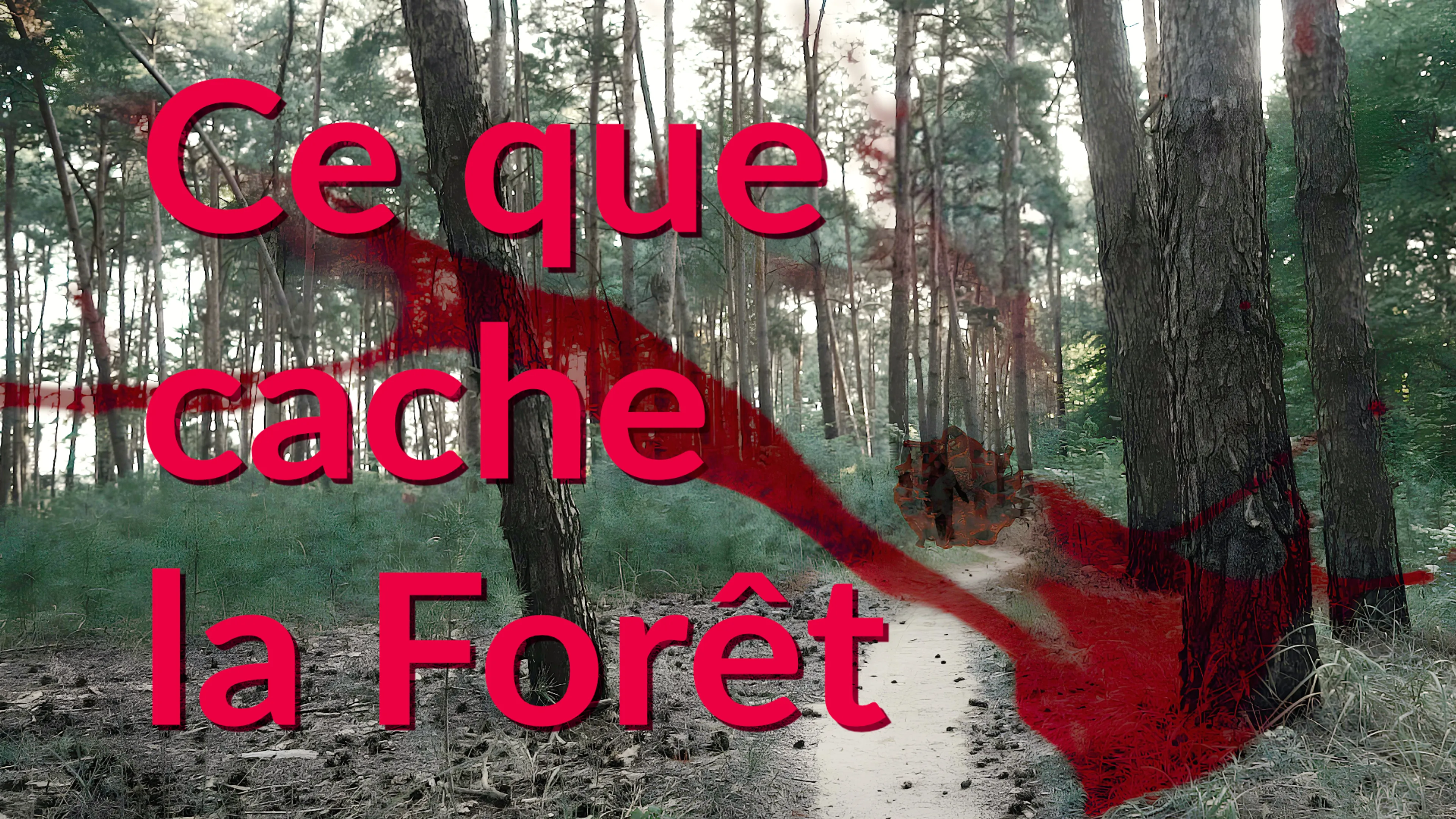 Ce Que Cache la Forêt poster